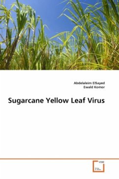 Sugarcane Yellow Leaf Virus - ElSayed, Abdelaleim;Komor, Ewald