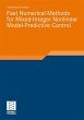 Fast Numerical Methods for... - Bild 1