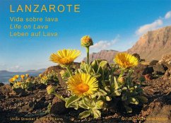 Lanzarote - Leben auf Lava - Strecker, Ulrike; Wilkens, Horst