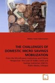 THE CHALLENGES OF DOMESTIC MICRO SAVINGS MOBILIZATION