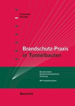Brandschutz in Tunnelbauten - Schneider, Ulrich;Horvath, Johannes