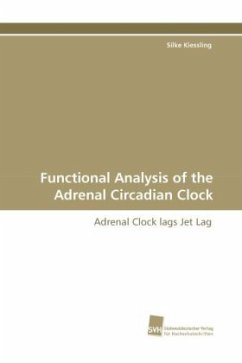 Functional Analysis of the Adrenal Circadian Clock - Kiessling, Silke