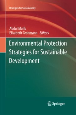 Environmental Protection Strategies for Sustainable Development