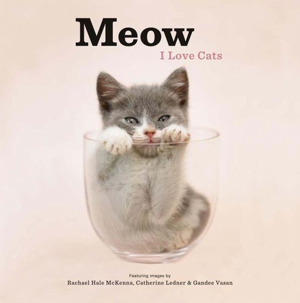 Meow: I Love Cats - englisches Buch - bücher.de