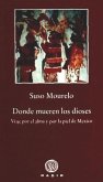 Donde mueren los dioses : viaje por el alma y por la piel de México