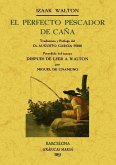 El perfecto pescador de caña