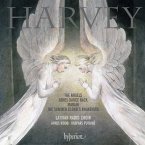 The Angels/Ashes Dances Back/Marahi