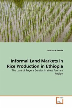 Informal Land Markets in Rice Production in Ethiopia - Tesafa, Fentahun