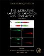The Zebrafish: Genetics, Genomics and... - Bild 1