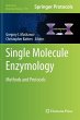 Single Molecule Enzymology - Bild 1