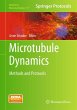 Microtubule Dynamics - Bild 1