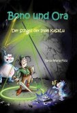 Der Schatz der Insel KaSaLu / Bono und Ora Bd.1