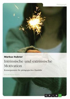 Intrinsische und extrinsische Motivation. Konsequenzen für pädagogisches Handeln - Hubner, Markus