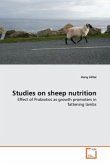 Studies on sheep nutrition