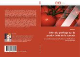 Effet du greffage sur la productivité de la tomate