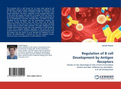 Regulation of B cell Development by Antigen Receptors