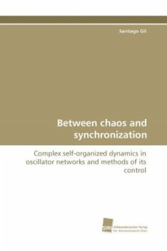 Between chaos and synchronization - Gil, Santiago