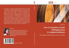 Vers la Synthèse Totale d'Ellagitannins C-arylglucosidiques - Malik, Gaëlle