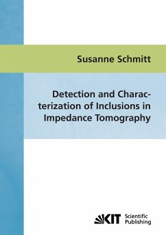 Detection and characterization of inclusions in impedance tomography - Schmitt, Susanne