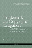 Trademark and Copyright Litigation