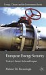 European Energy Security - Bild 1