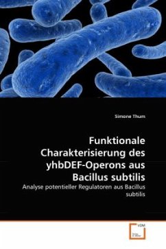 Funktionale Charakterisierung des yhbDEF-Operons aus Bacillus subtilis - Thum, Simone