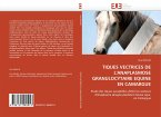 TIQUES VECTRICES DE L''ANAPLASMOSE GRANULOCYTAIRE EQUINE EN CAMARGUE