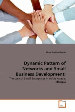 Dynamic Pattern of Networks and Small Business Development: - Demie, Muse Gadisa