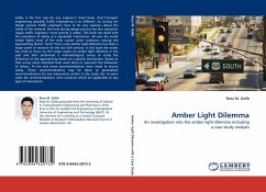 Amber Light Dilemma - Galib, Reza M.