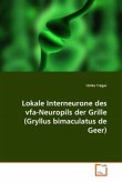 Lokale Interneurone des vfa-Neuropils der Grille (Gryllus bimaculatus de Geer)