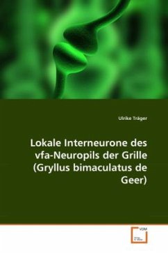 Lokale Interneurone des vfa-Neuropils der Grille (Gryllus bimaculatus de Geer) - Träger, Ulrike