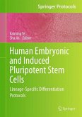 Human Embryonic and Induced Pluripotent Stem Cells