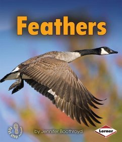 Feathers - Boothroyd, Jennifer