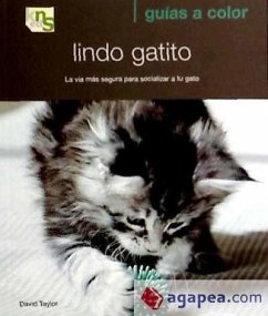 Lindo gatito : la vía más segura para socializar a tu gato - Taylor, David; Taylor, David C.