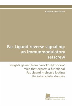 Fas Ligand reverse signaling: an immunmodulatory setscrew - Lückerath, Katharina