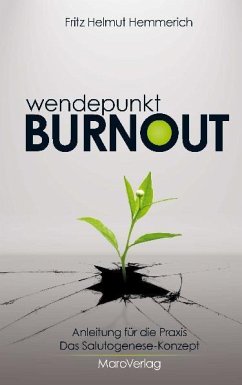 Wendepunkt Burnout - Hemmerich, Fritz Helmut