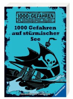 1000 Gefahren auf stürmischer See / 1000 Gefahren Bd.19 - Lenk, Fabian; Packard, Edward