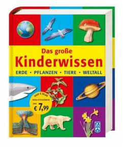 Cover Das große Kinderwissen