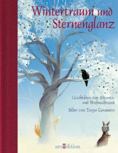 Cover Wintertraum und Sternenglanz