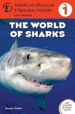 The World of Sharks