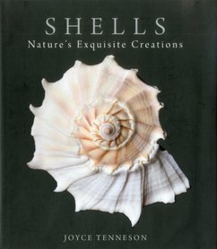 Shells - Tenneson, Joyce