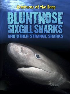 Bluntnose Sixgill Sharks and Other Strange Sharks - Lynette, Rachel