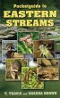 Pocketguide to Eastern Streams - Bild 1