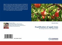 Fructification of apple trees - Bejan, Alexandru
