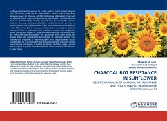 CHARCOAL ROT RESISTANCE IN SUNFLOWER