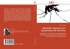 ApoptoM: séquence pro-apoptotique des flavivirus - Catteau, Adeline