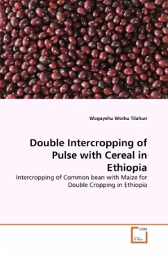 Double Intercropping of Pulse with Cereal in Ethiopia - Tilahun, Wogayehu Worku