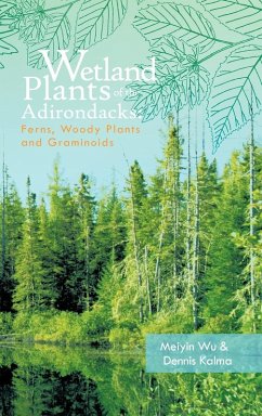 Cover Wetland Plants of the Adirondacks