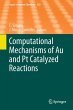 Computational Mechanisms of Au and Pt... - Bild 1