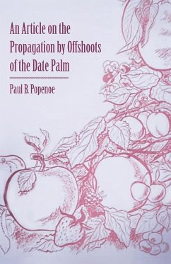 An Article on the Propagation by Offshoots of the Date Palm - Popenoe, Paul B.